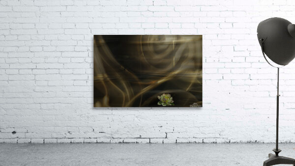 ABS 00045 Wall Preview