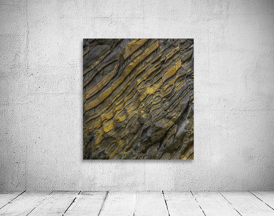 ABS 00061 Wall Preview