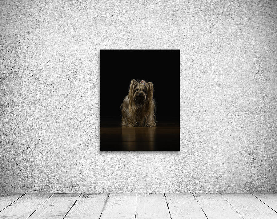 ANI 00110 Wall Preview