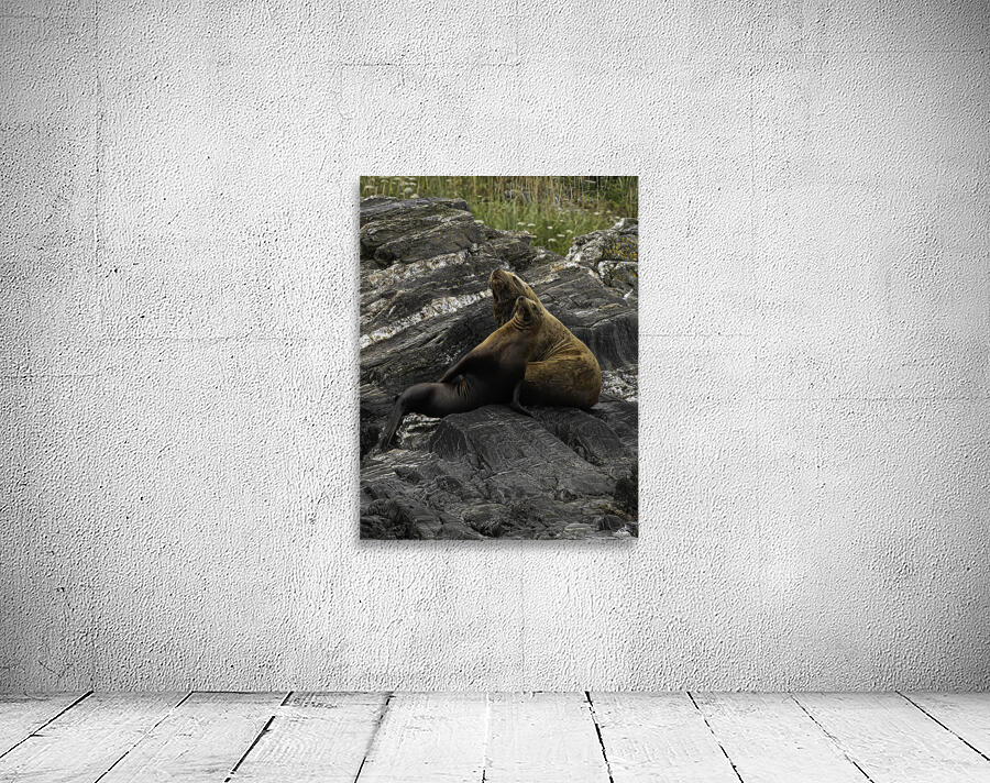 ANI 00178 Wall Preview