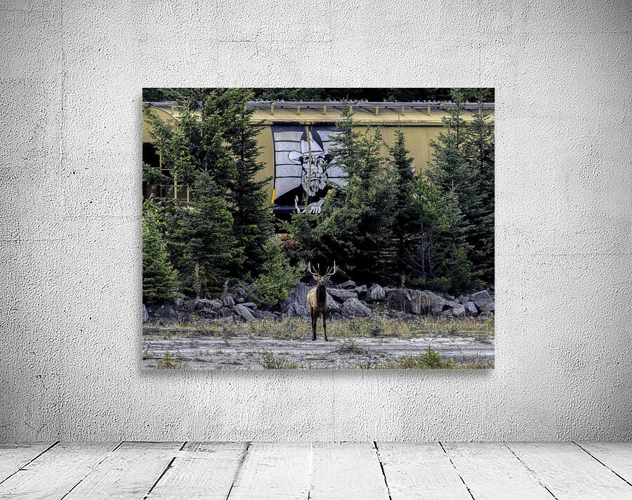 ANI 00170 Wall Preview