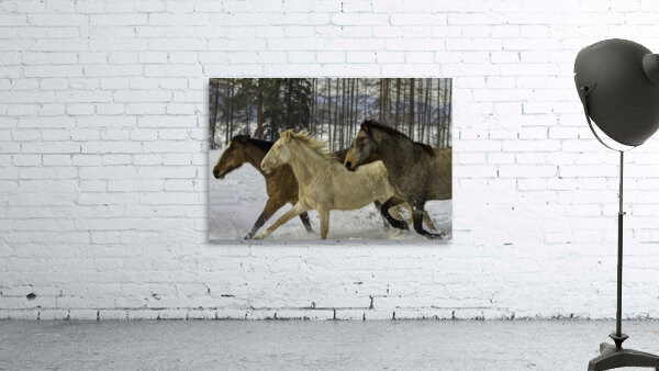 ANI 00157 Wall Preview