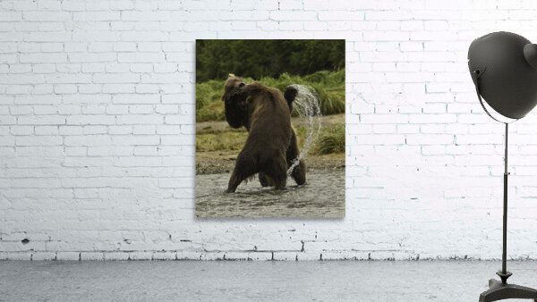ANI 00164 Wall Preview
