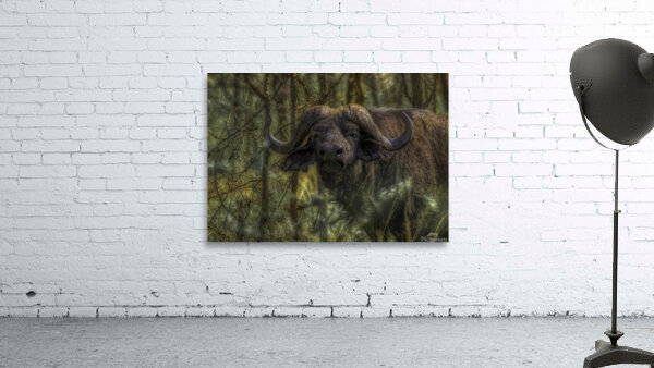 ANI 00208 Wall Preview