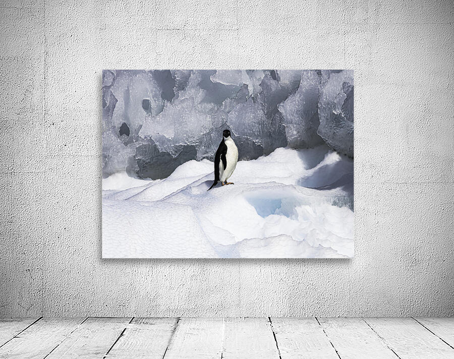 BIR 00239 Wall Preview