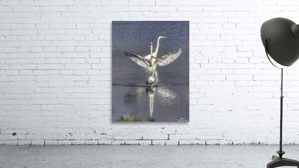 BIR 00228 Wall Preview