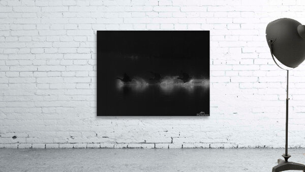 BIR 00233 Wall Preview