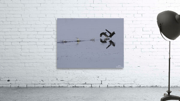 BIR 00225 Wall Preview