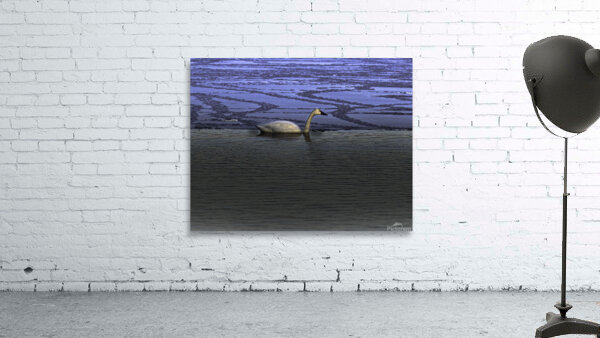 BIR 00264 Wall Preview