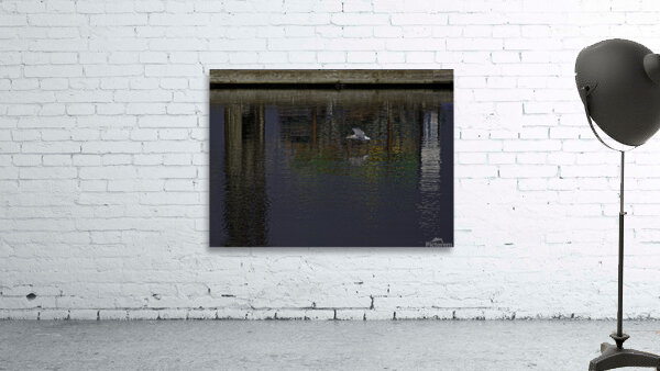 BIR 00250 Wall Preview
