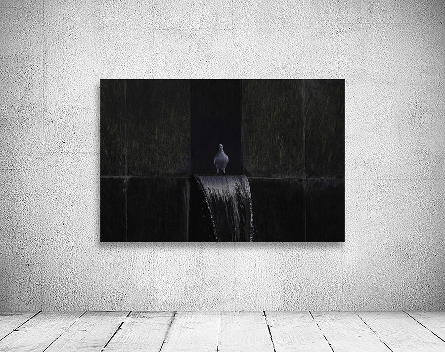 BIR 00294 Wall Preview