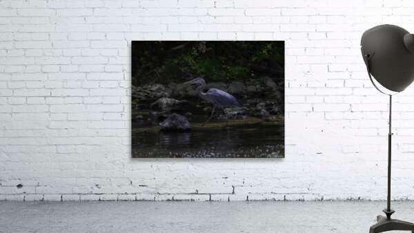 BIR 00335 Wall Preview