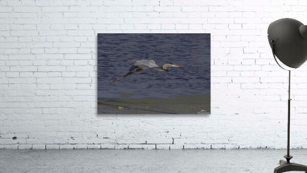 BIR 00316 Wall Preview