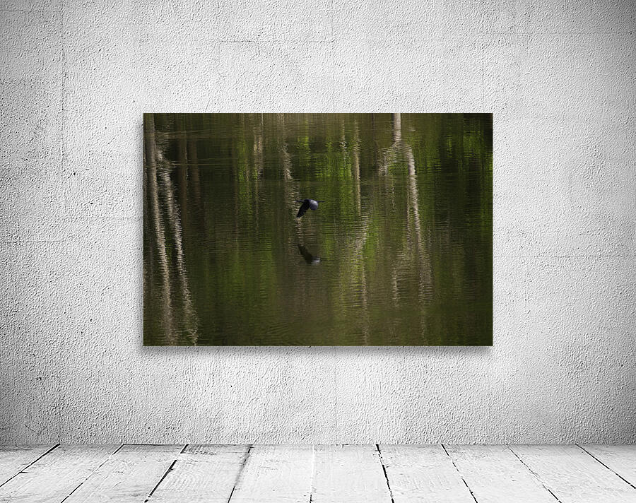 BIR 00323 Wall Preview