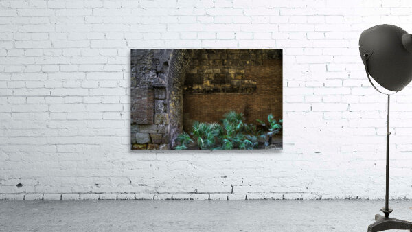 CIT 00376 Wall Preview