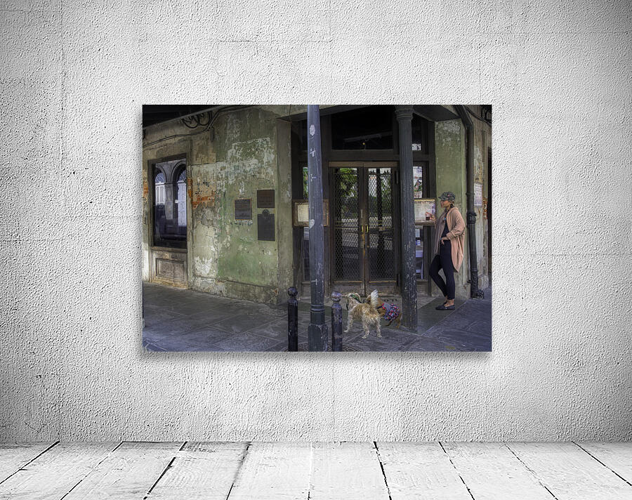 CIT 00374 Wall Preview
