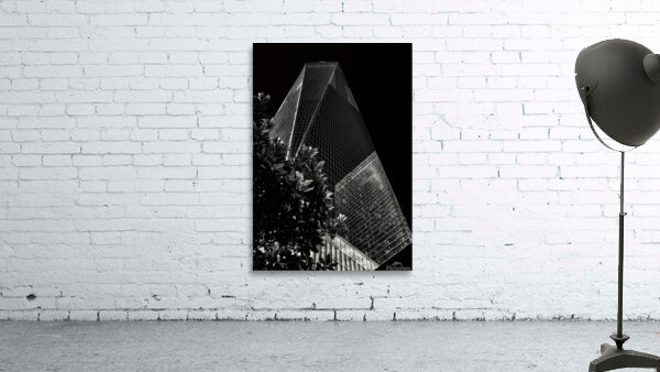 CIT 00389 Wall Preview