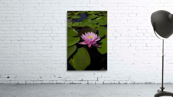 FLO 00421 Wall Preview