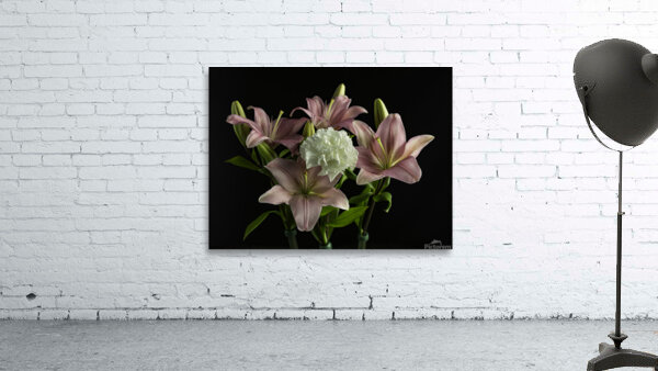 FLO 00435 Wall Preview