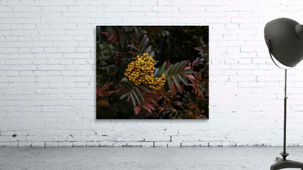 FLO 00453 Wall Preview