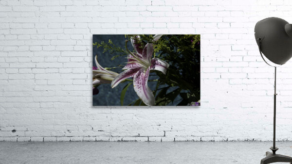 FLO 00427 Wall Preview