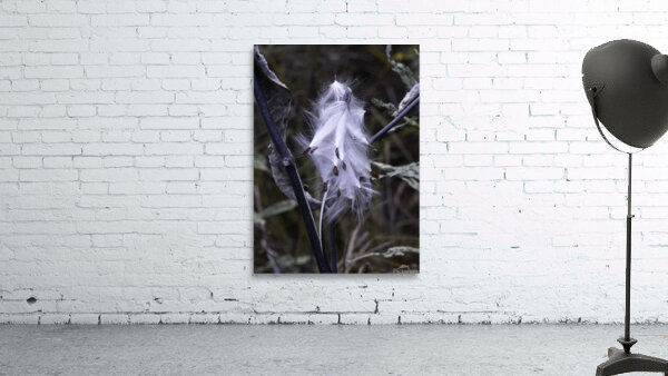 FLO 00465 Wall Preview