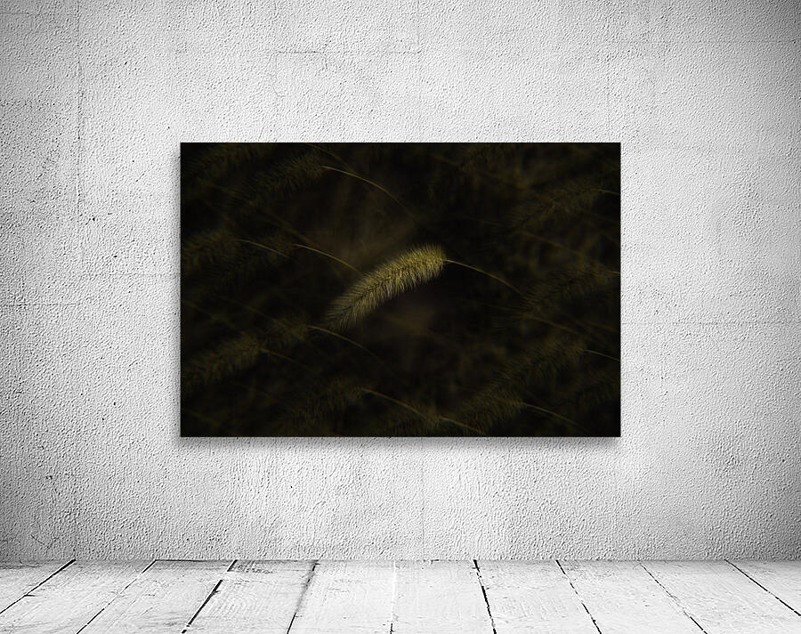 FLO 00486 Wall Preview