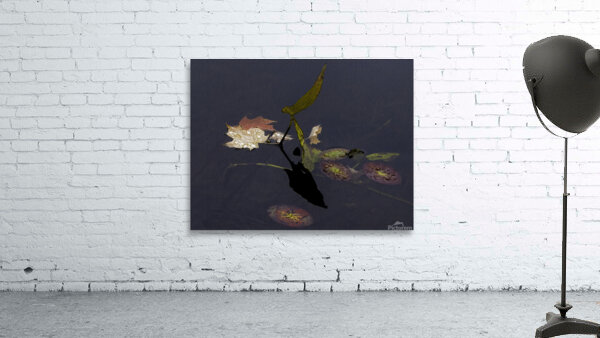 FLO 00467 Wall Preview