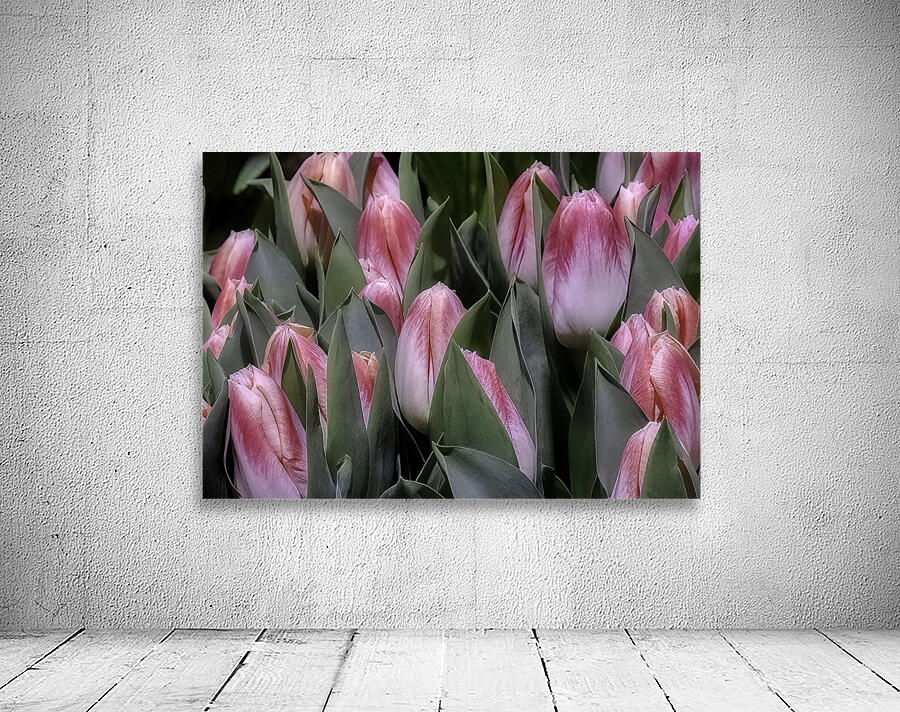FLO 00494 Wall Preview