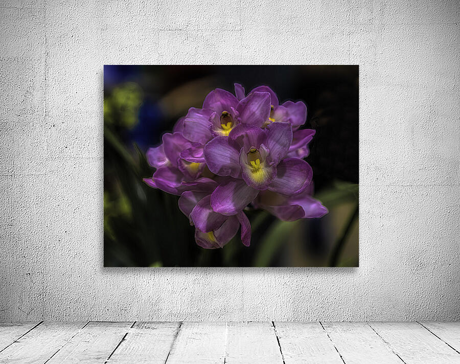 FLO 00496 Wall Preview