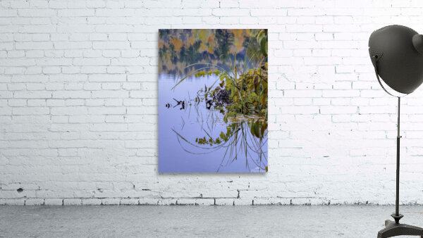 FLO 00468 Wall Preview