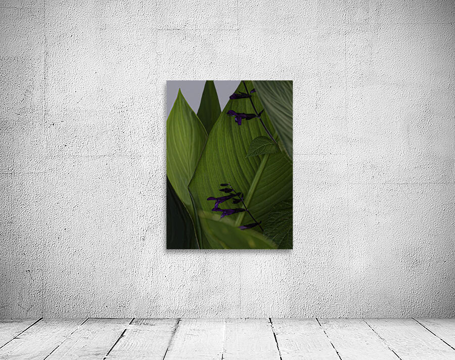 *FLO 00489 Wall Preview