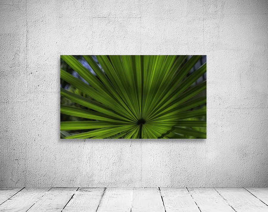 FLO 00540 Wall Preview