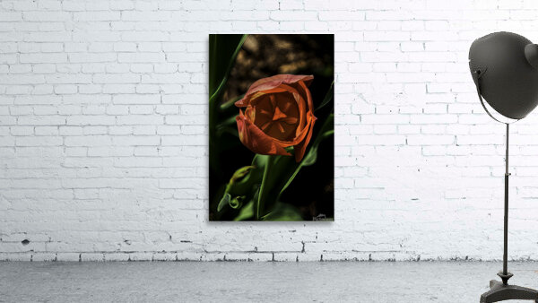FLO 00522 Wall Preview