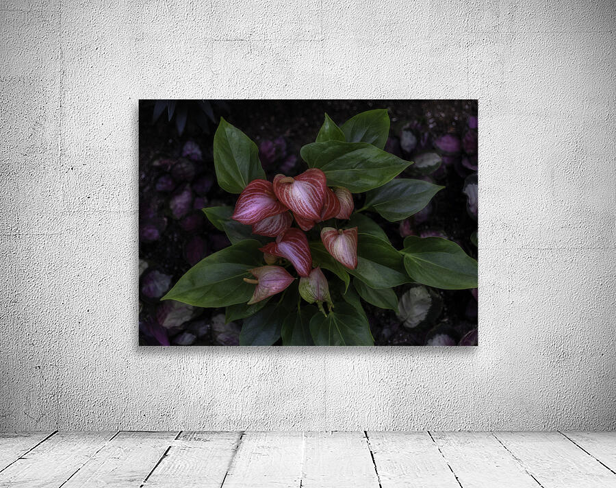 FLO 00546 Wall Preview