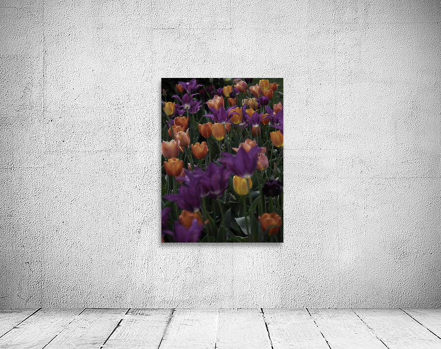 FLO 00519 Wall Preview