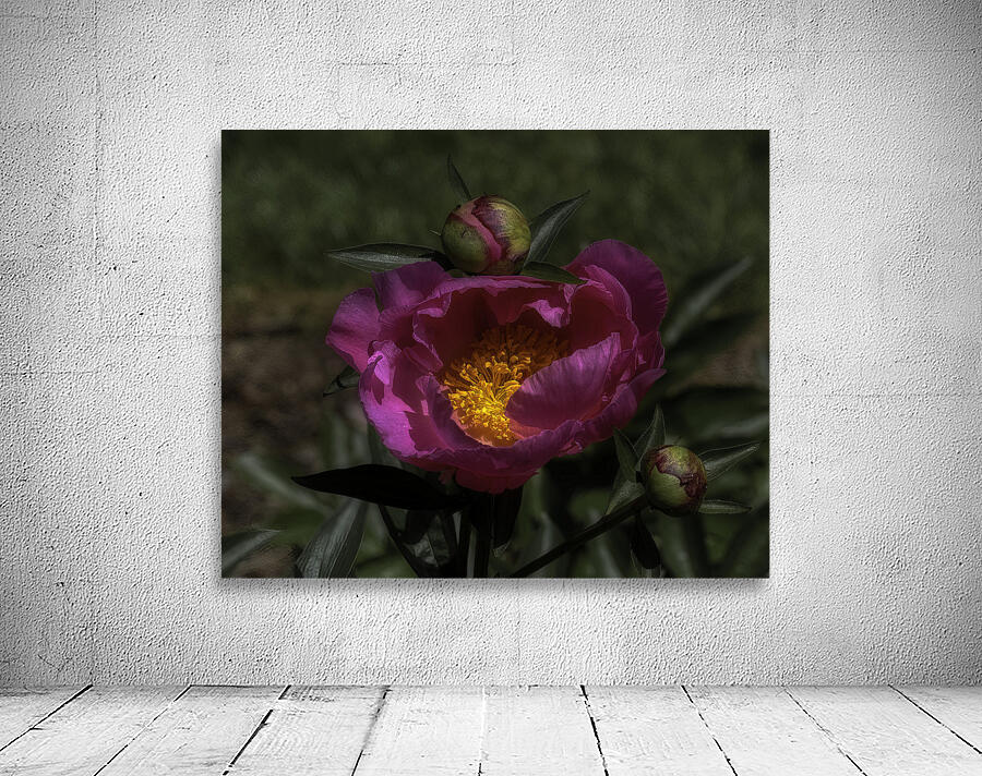 FLO 00538 Wall Preview