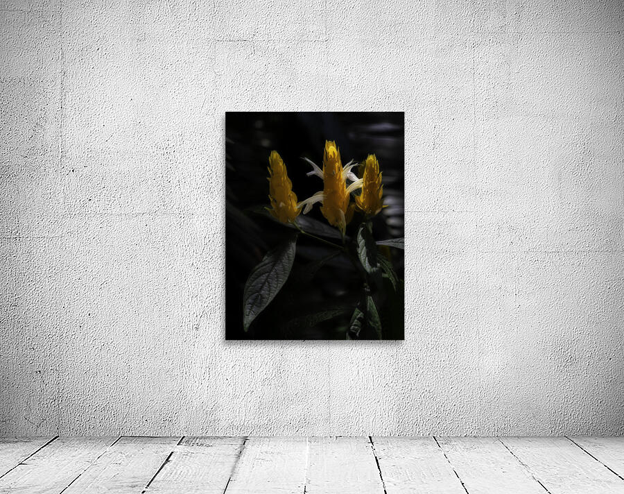 FLO 00539 Wall Preview
