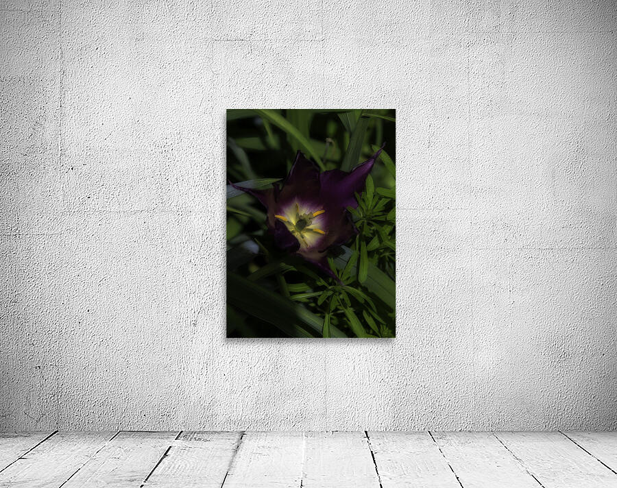 FLO 00517 Wall Preview