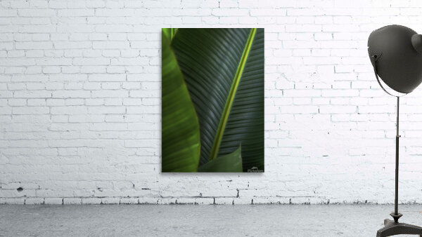 FLO 00510 Wall Preview