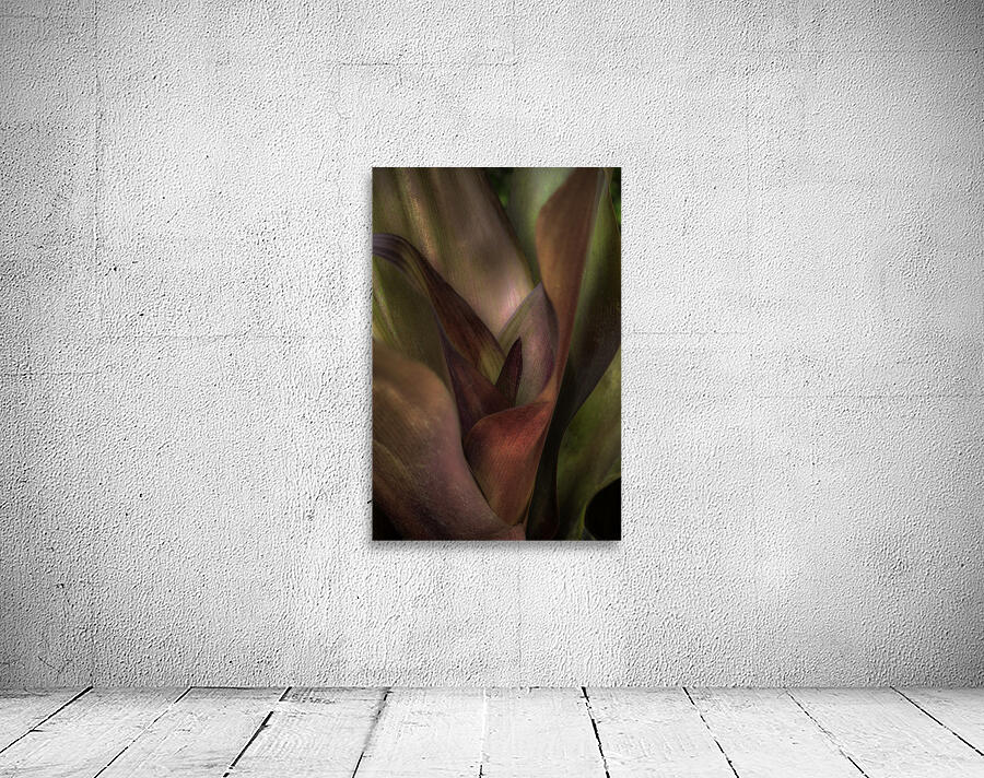 FLO 00509 Wall Preview