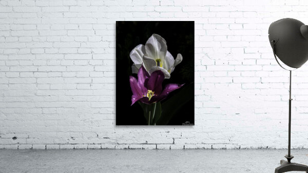 FLO 00520 Wall Preview