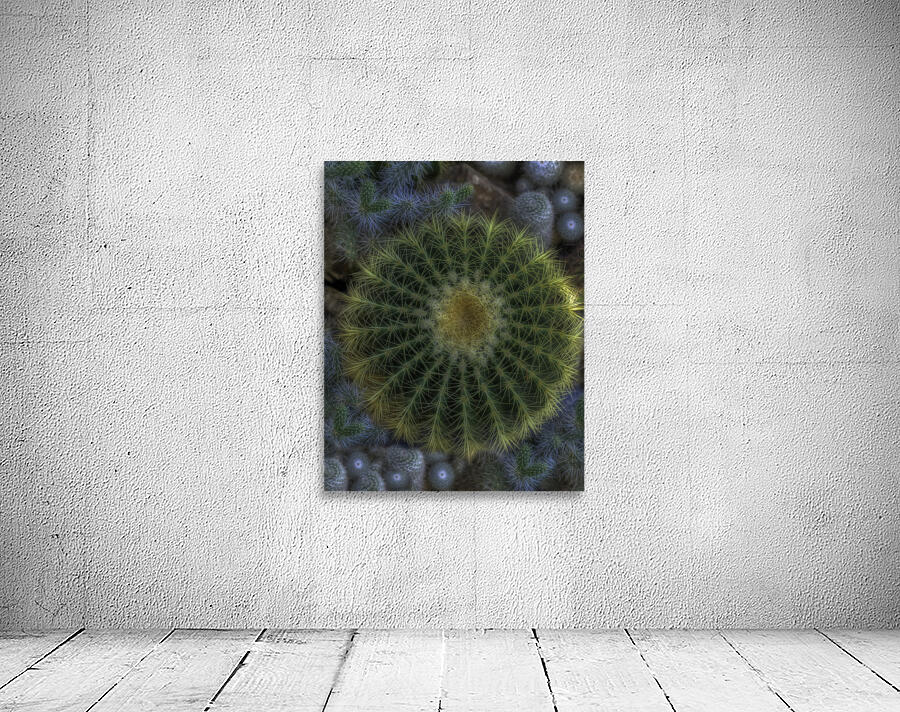 FLO 00550 Wall Preview