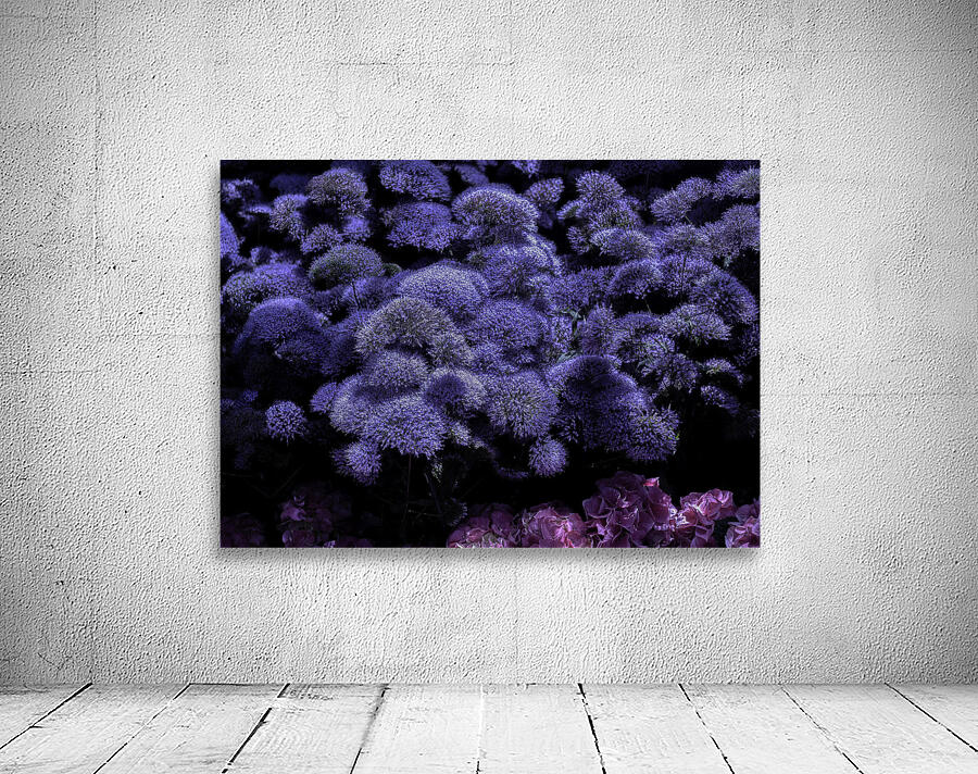 FLO 00544 Wall Preview