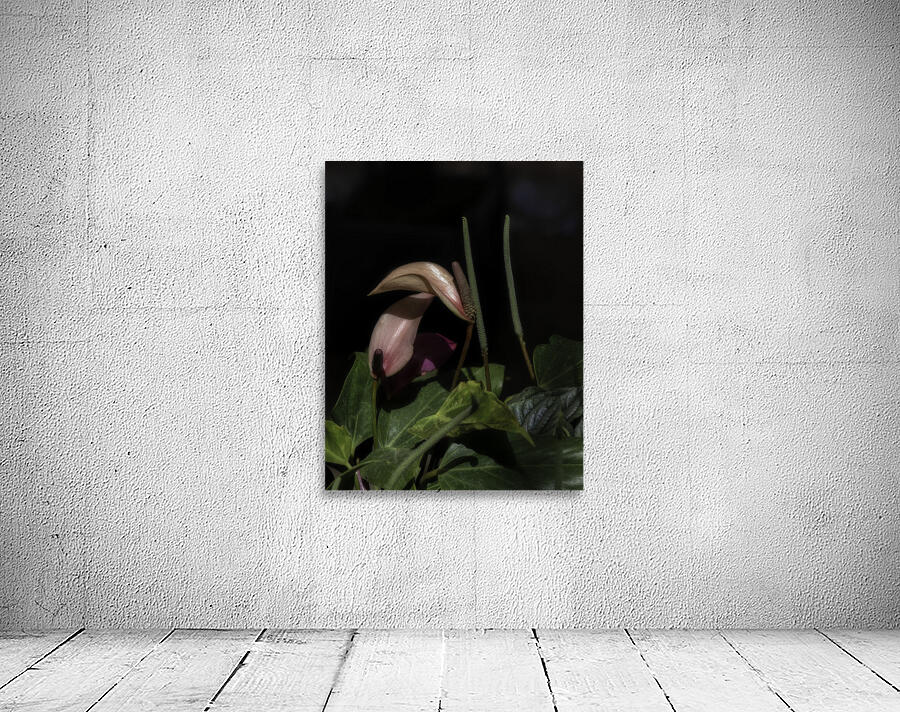 FLO 00541 Wall Preview