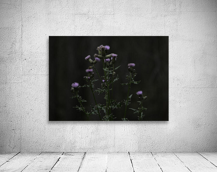 FLO 00562 Wall Preview