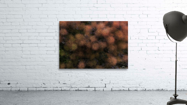 FLO 00598 Wall Preview