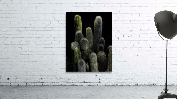 FLO 00551 Wall Preview