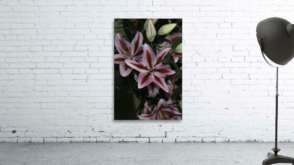 FLO 00604 Wall Preview