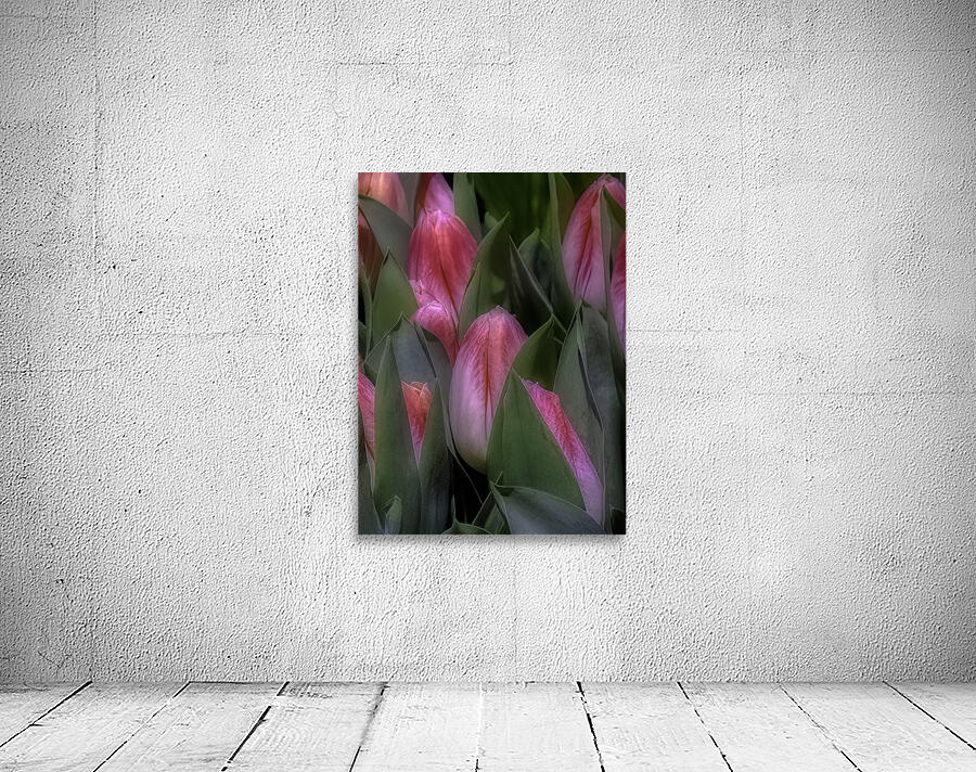FLO 00560 Wall Preview